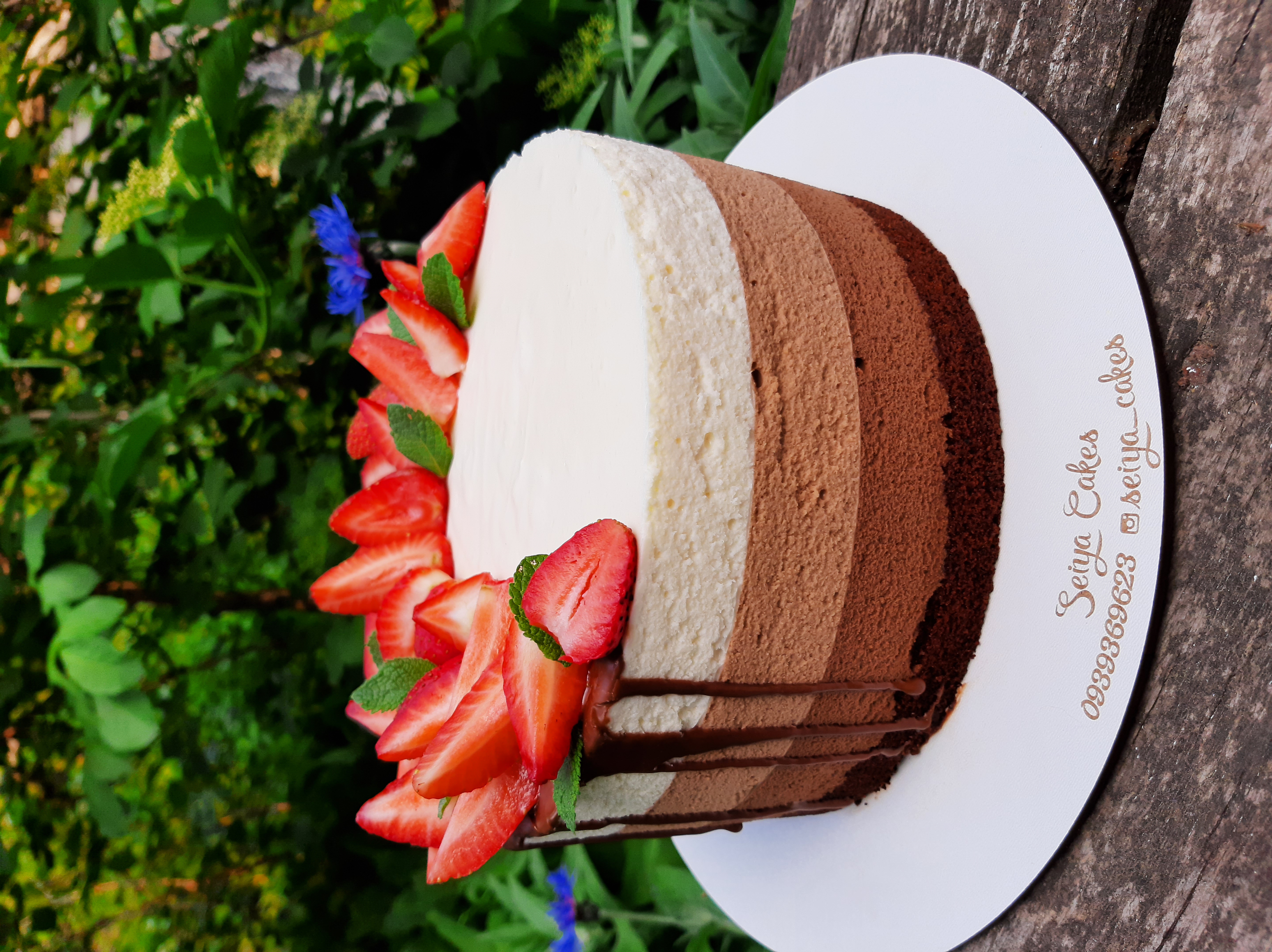 Seiya cakes
